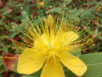 剪一段时光唯美的遇见/暗香盈袖