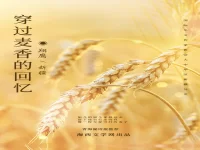 穿过麦香的回忆/翔鹰