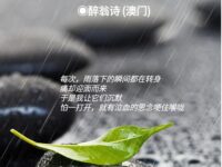 雨落下的瞬间都在转身/醉翁诗