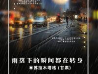 雨落下的瞬间都在转身/苏拉木塔格