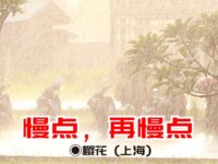 樱花：慢点，再慢点（外一首）