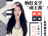 童小汐:炮打文学“顽主派”!