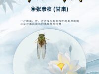 午后听蝉/张彦桢