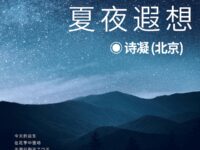 夏夜遐想/诗凝