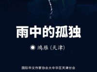 雨中的孤独/鸿雁