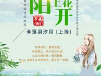 陌上花开/落羽汐月