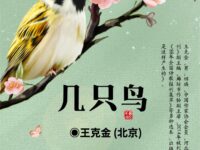 几只鸟/王克金