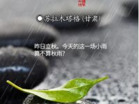 第一场秋雨/苏拉木塔格