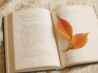 浅秋的陌上，浅浅的温柔