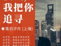 核城，我把你追寻/落羽汐月