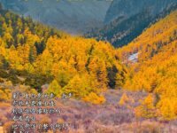 秋天的颂辞/梁银