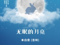 无眠的月亮/白夜