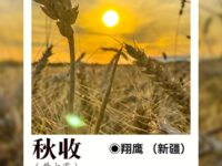 翔鹰：秋收（外七首）