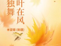 落叶在风中独舞/梁银