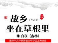 白夜：故乡坐在草根里（外二首）