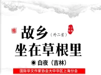 白夜:故乡坐在草根里(外二首)