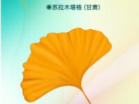 秋叶/苏拉木塔格