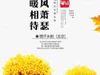 秋风萧瑟温暖相待/情怀乡韵