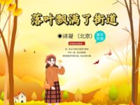 落叶飘满了街道/诗凝