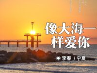 像大海一样爱你/李春