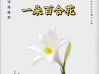 一朵百合花/空谷小鸟