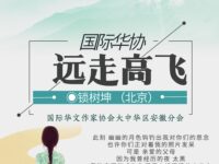 远走高飞/锁树坤