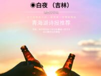 安静的午后/白夜