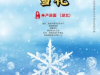 雪花/卢进国