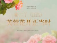 芙蓉花开正当时/二丫