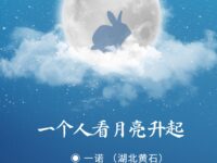 一个人看月亮升起/一诺
