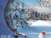 大雪之夜，写一首诗/寒冰