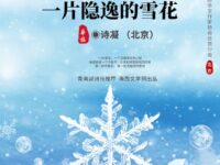 一片隐逸的雪花/诗凝