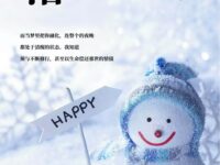 落在身体里的雪/瓜尔佳荒原