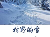 村野的雪/祁连阳光