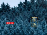 袁德发｜冬至•​德令哈一夜