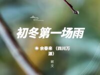 余春来｜初冬第一场雨（散文）