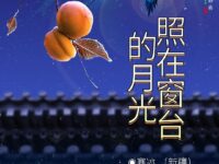 寒冰｜照在窗台的月光