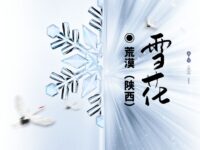 荒漠｜雪花