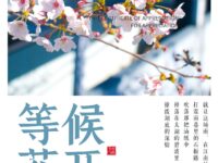 绯凡｜等候花开