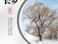 白夜｜雪落故乡，思母情长（散文）