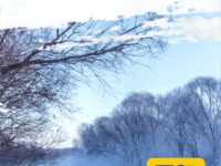 白夜｜东北大寒写实