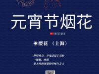 樱花｜元宵节烟花