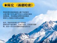 陈宏｜东天山脚下的二月