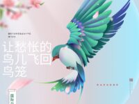 空谷小鸟｜让愁怅的鸟儿飞回鸟笼