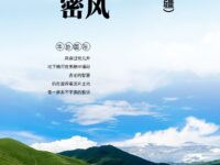 朱锦慧｜二月的风穿过哈密