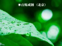 百炼成钢｜雨水（外二首）