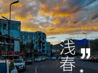 紫薇｜浅春的小巷