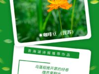 咖啡豆｜二月二的低语