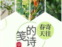 梁银 | 寄往春天的诗笺