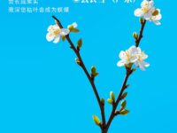 云衣雪 | 除了幻想我空无一物